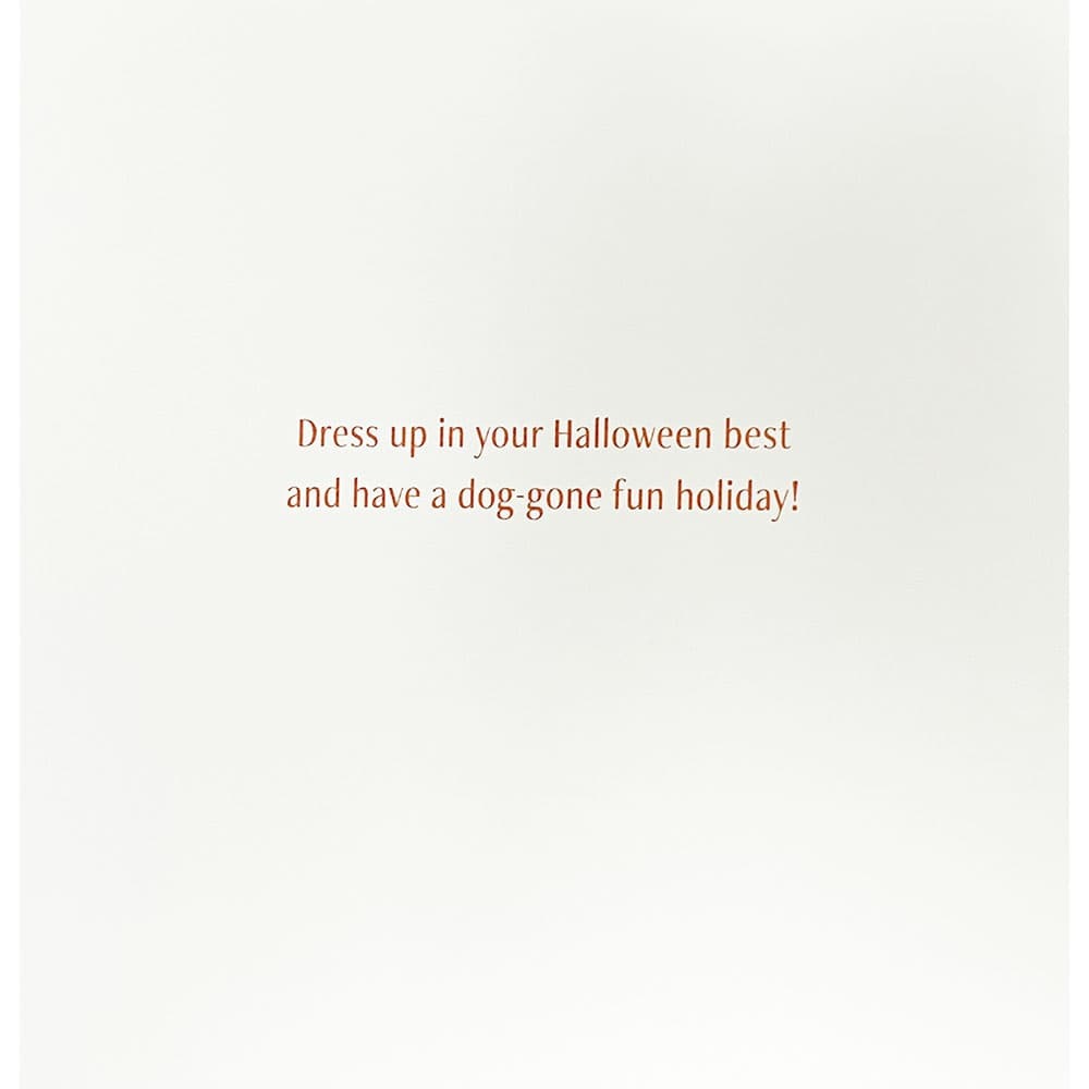 Dog In Costume Halloween Card