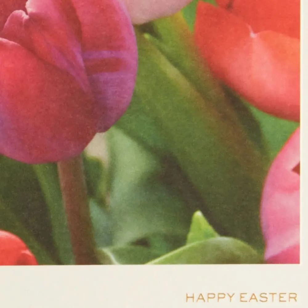 Photo Tulips Easter Card