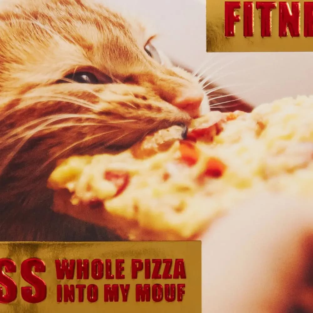 Pizza Cat Friendship Card
