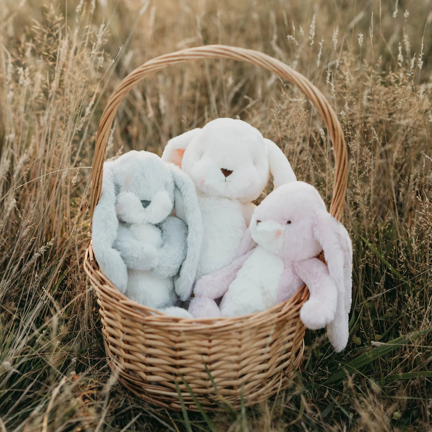 Little Floppy Nibble 12" Bunny - Pink