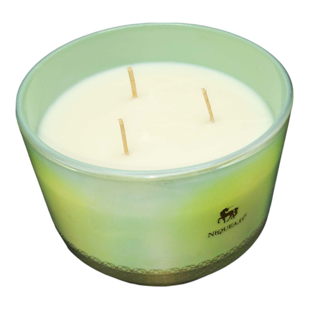 Beautiful Oasis Candle - 16oz Footed Dish