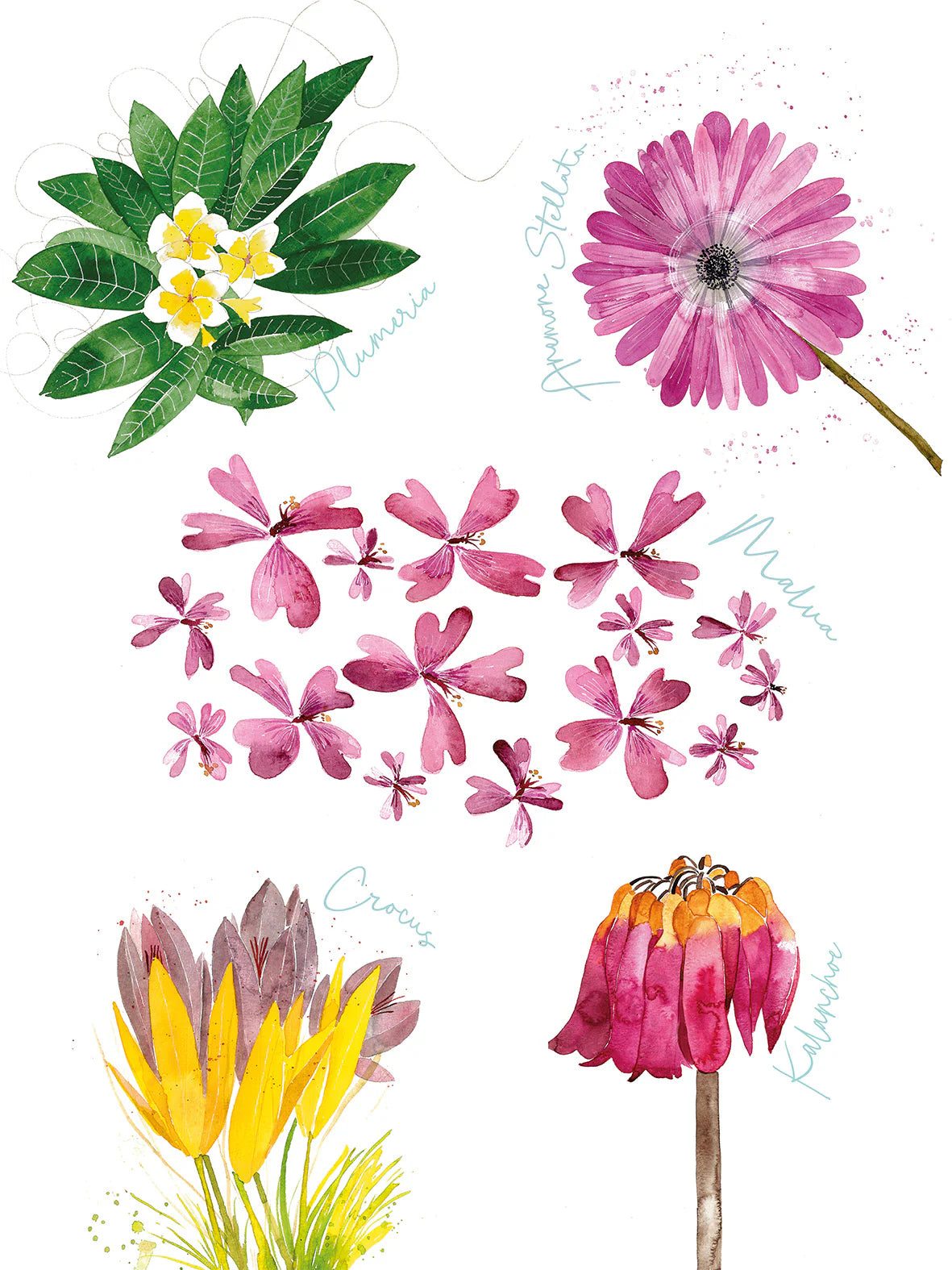 Tea Towel - Flora Rosa