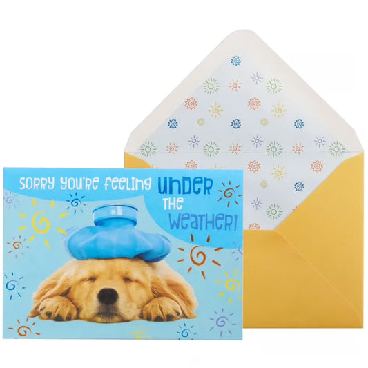 Dog Get Well Card