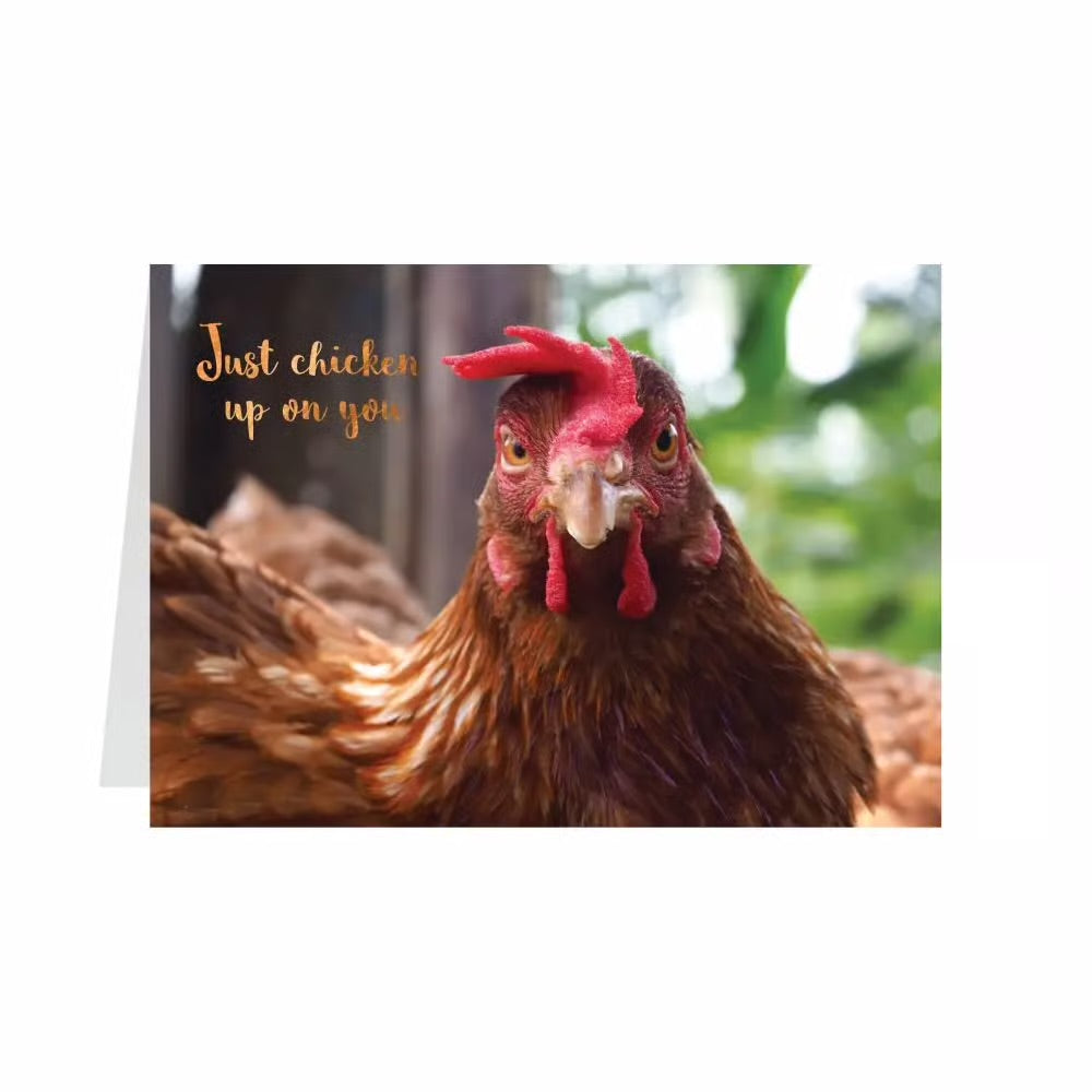 Chicken Friendship Card