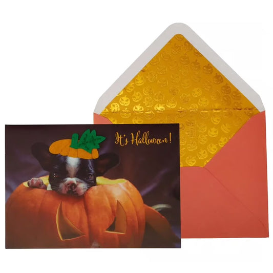 Photo Puppy In Pumpkin Halloween Card