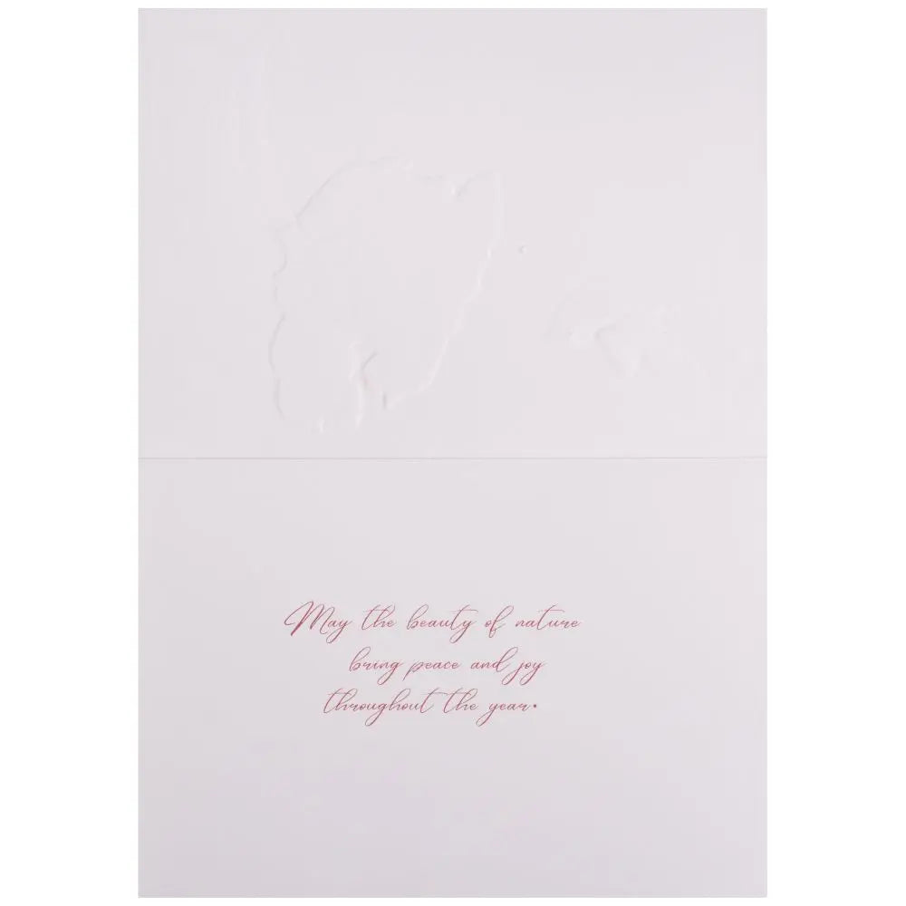 Hummingbird And Amaryllis 8Ct Boxed Christmas Cards
