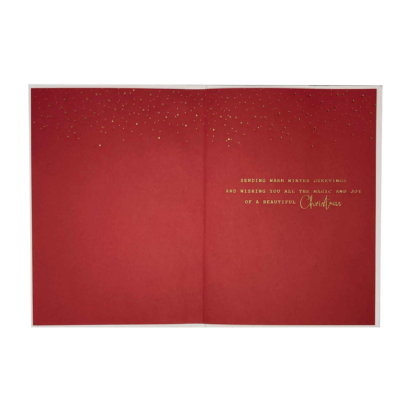 Christmas House with Cardinals Christmas Card