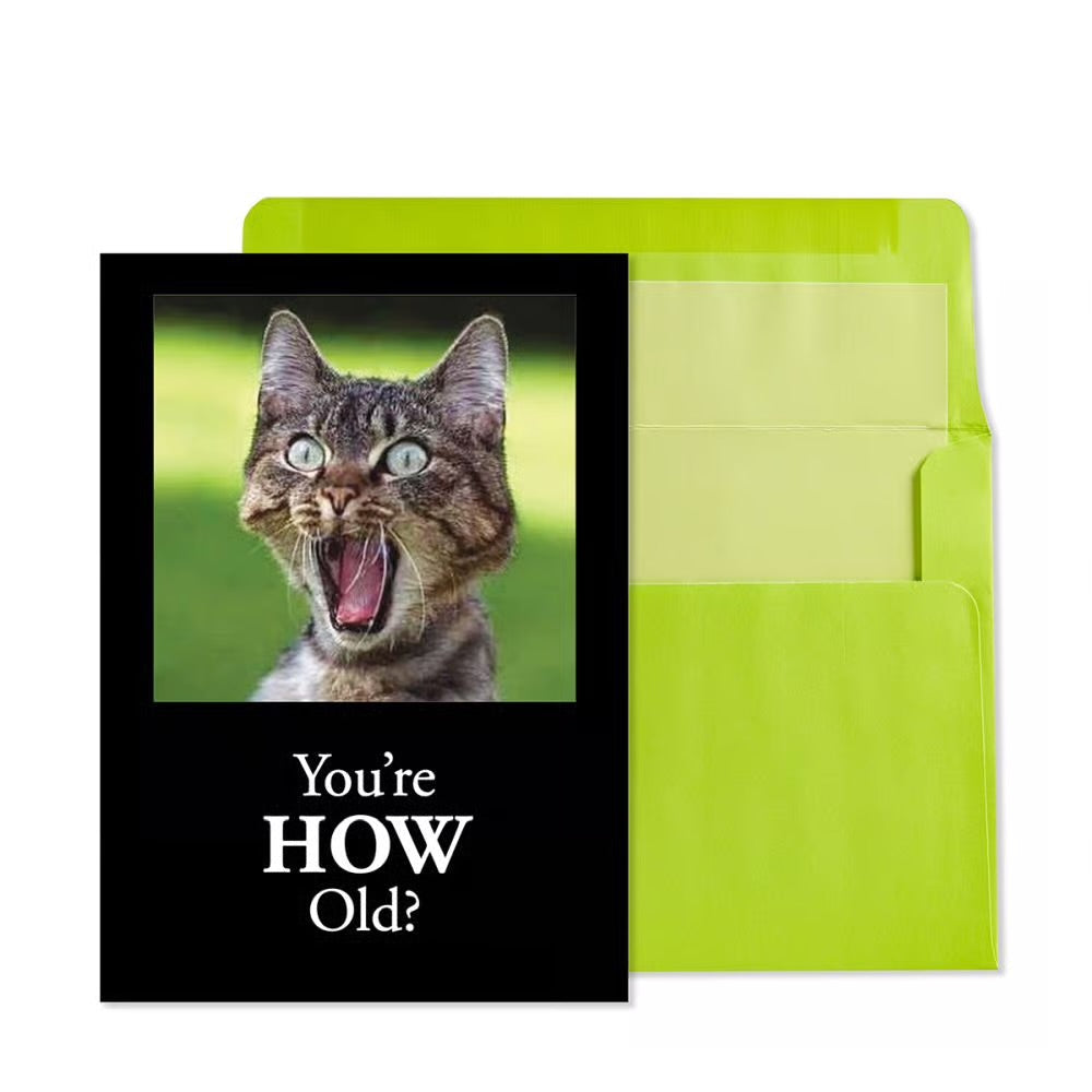 Youre How Old Cat Birthday Card