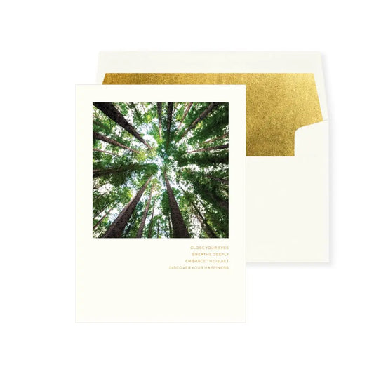 Photo Looking Up Through Trees Friendship Card