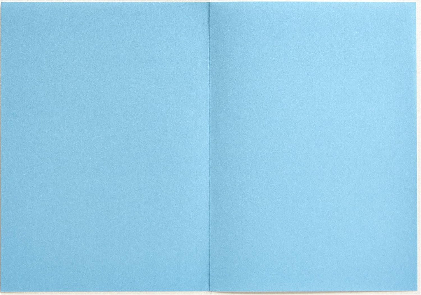 Peacock Feather Blank Card