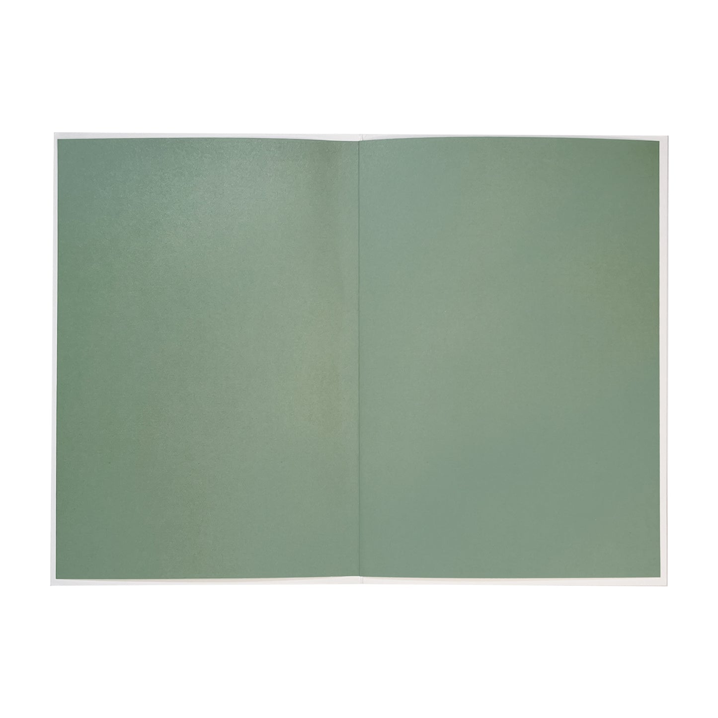 Forest With Stream Blank Card