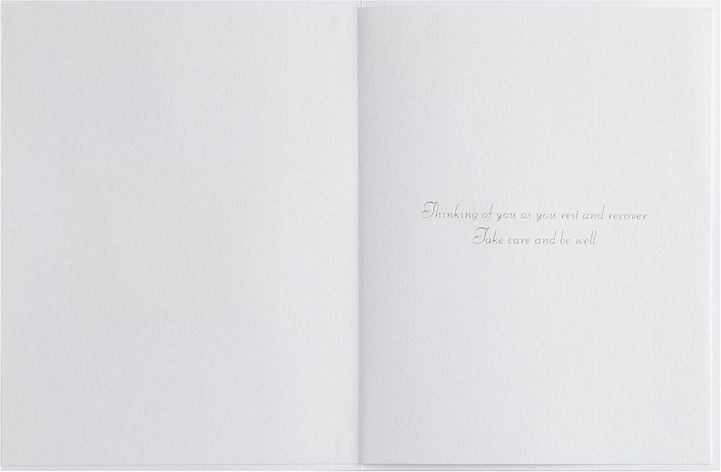Plants in Cloche Get Well Card