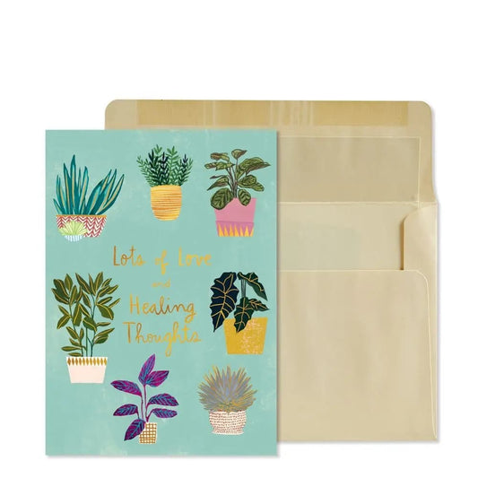 Potted Plants Get Well Card