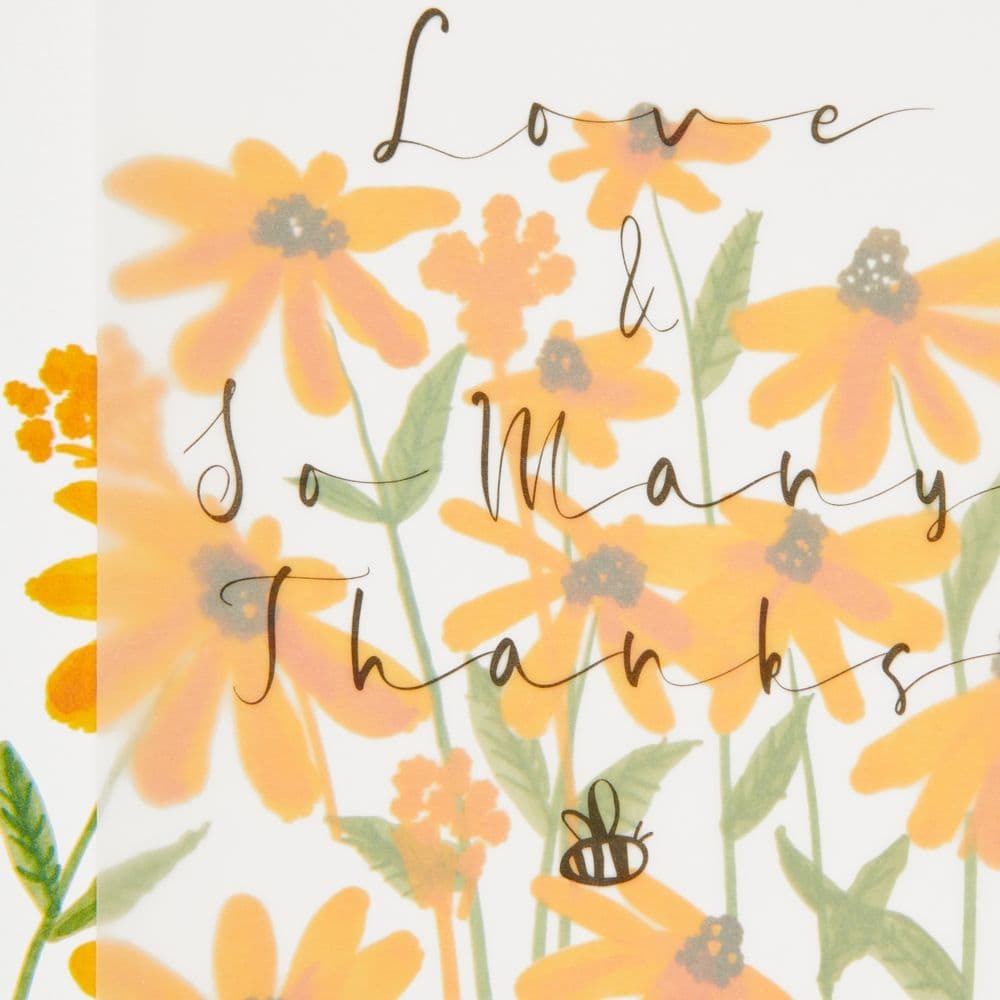 Daisy Flower Field Thank You Card