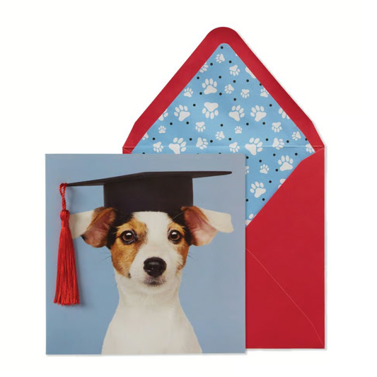 Pup In Grad Hat Graduation Card