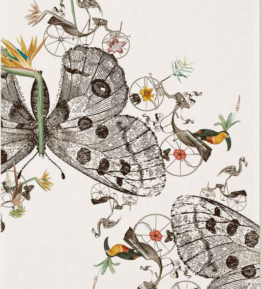 Kitchen Towels - Andre