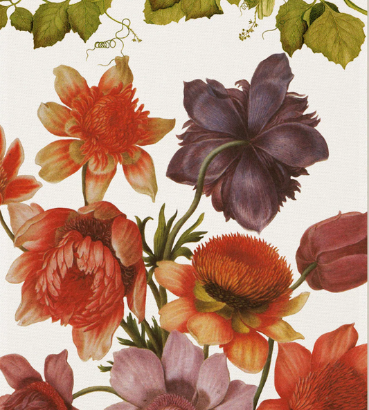 Kitchen Towels - Eidos