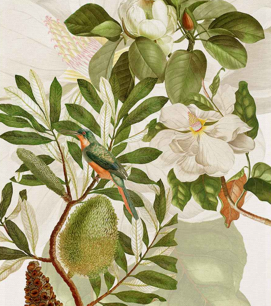 Kitchen Towels - Loma