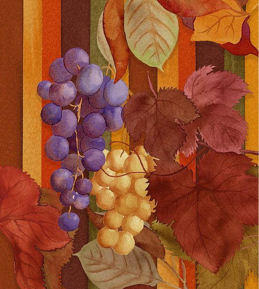 Kitchen Towels - Bacco