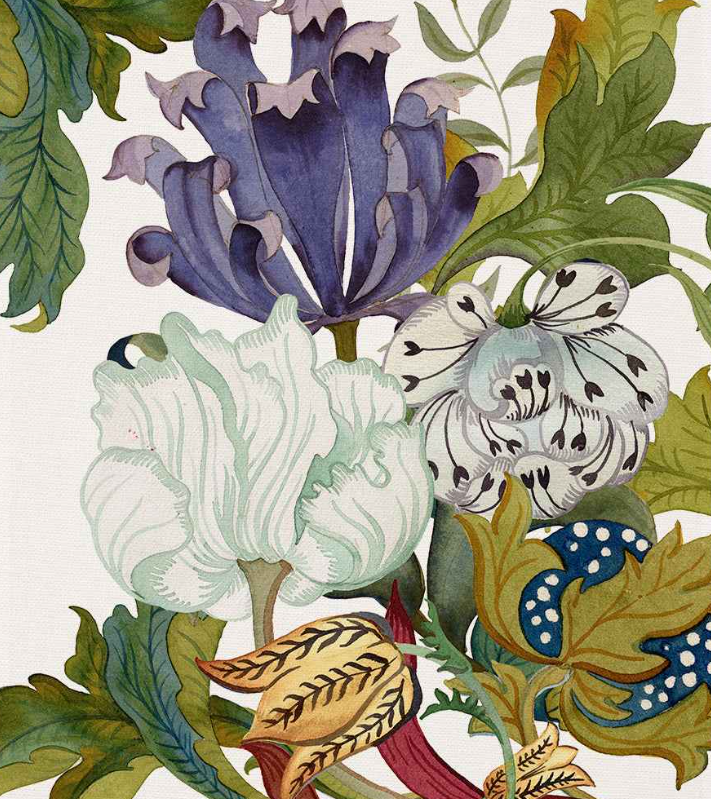 Kitchen Towels - Morris VR 1