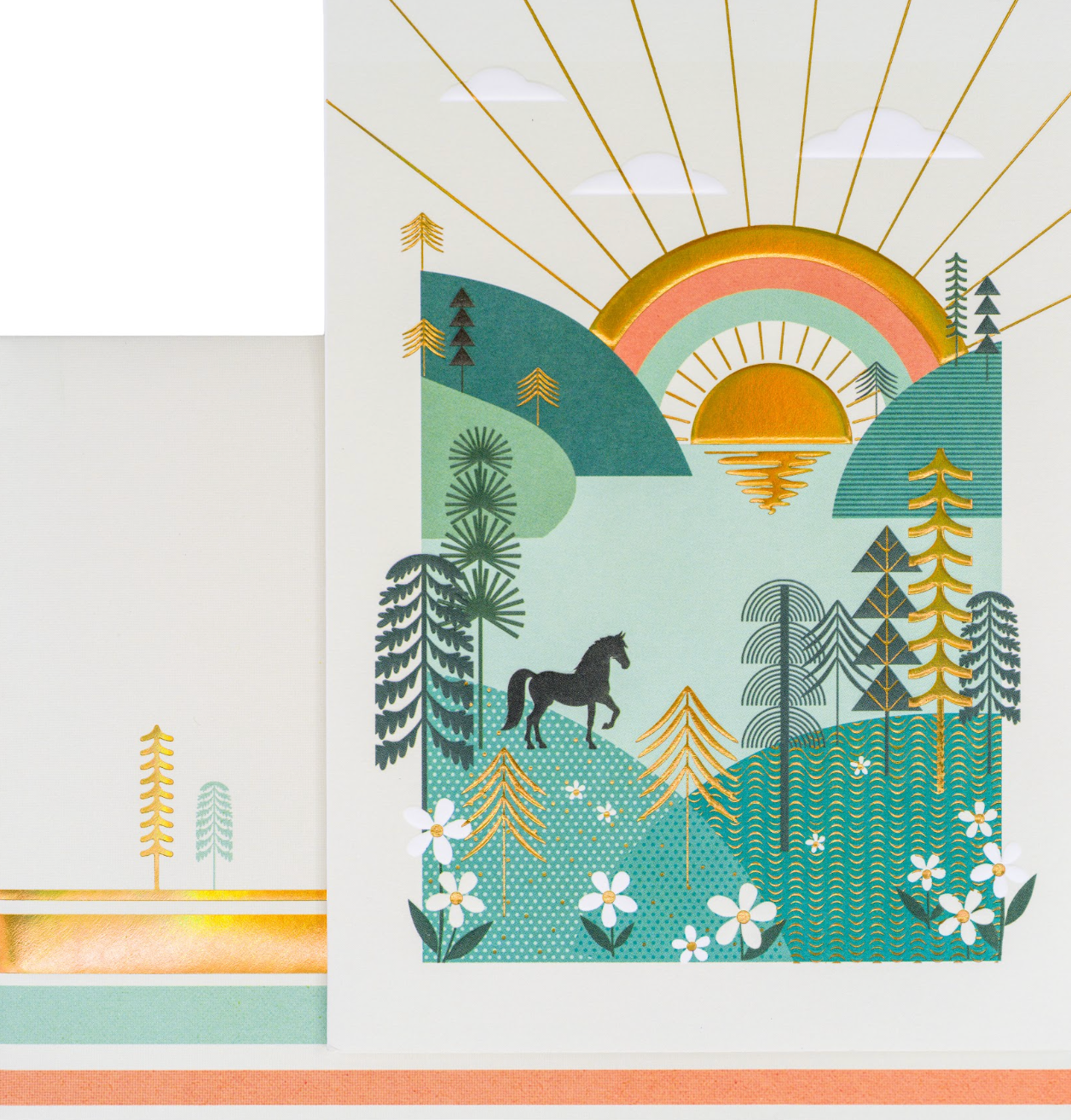 Green Hills With Horse Birthday Card NEW