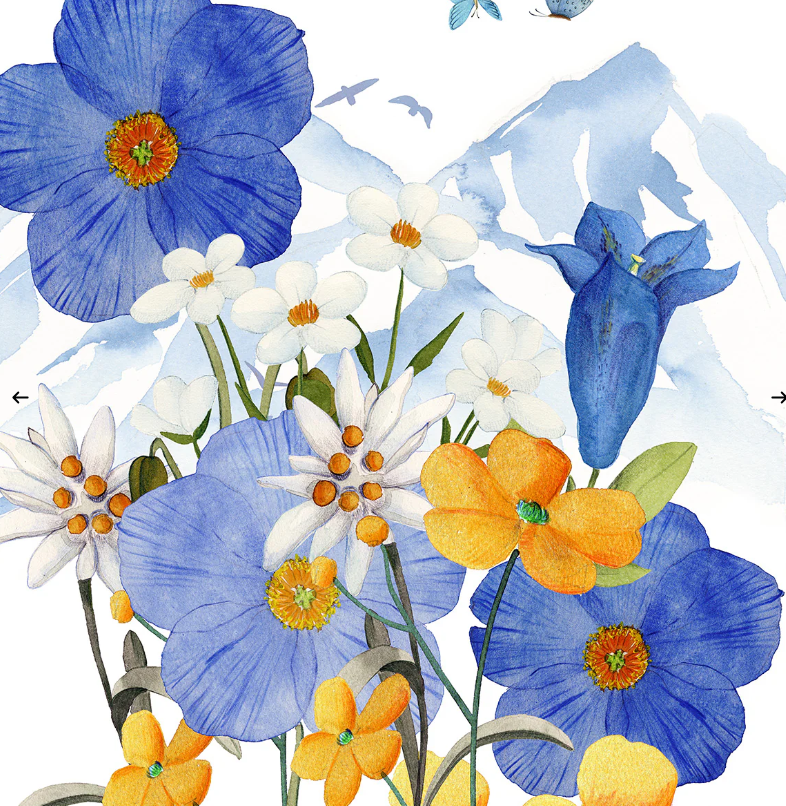 Kitchen Towels - Alpi Floral