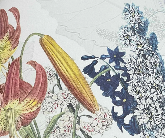 Placemats - Dafne Set of 4