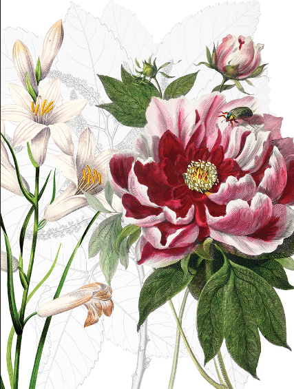 Table Runner - Dafne