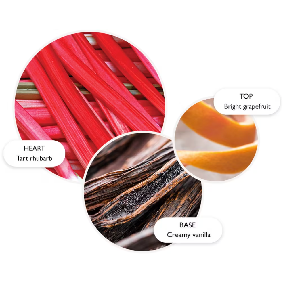 Delicious Rhubarb & Rose Aroma Reeds