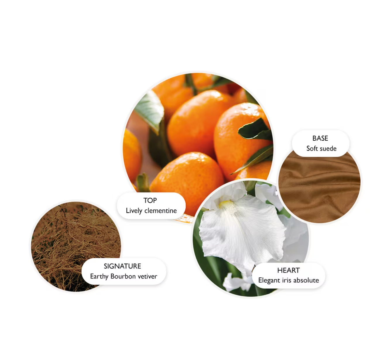 Sunlit Clementine & Vetiver Eau de Parfum
