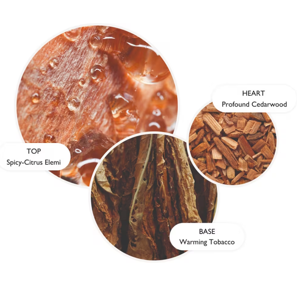 Tobacco Absolute Bath & Shower Gel