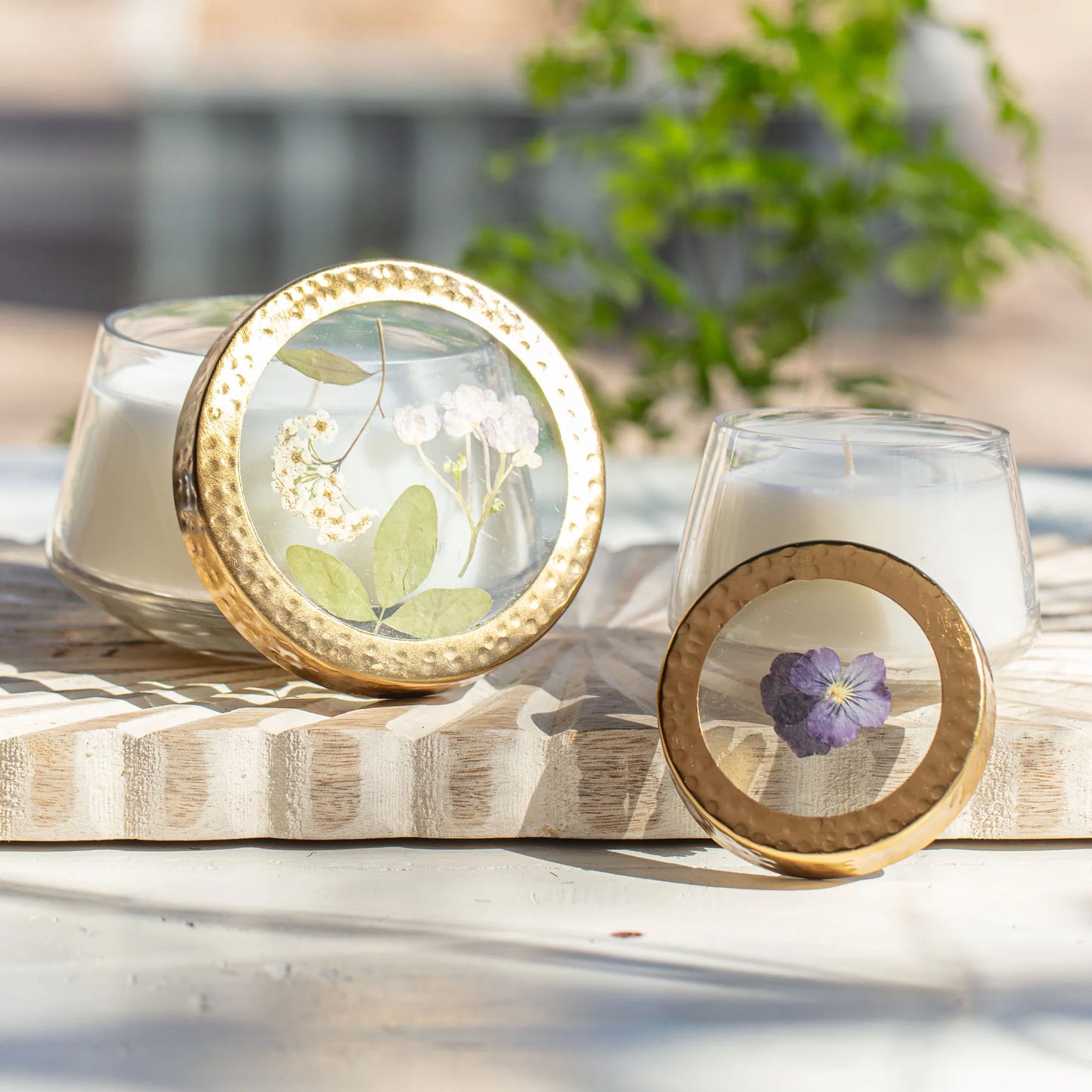 Black Currant and Bay Medium Pressed Floral Candle