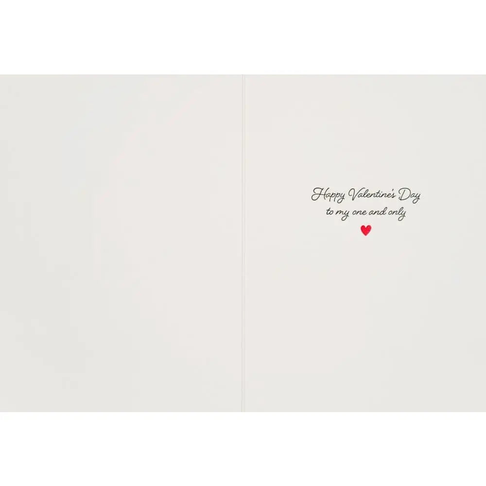 Contain My Love Valentine's Day Card