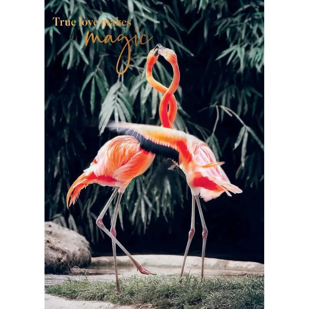Flamingos Anniversary Card