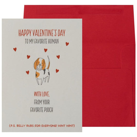 From Your Favorite Pooch Valentine's Day Card
