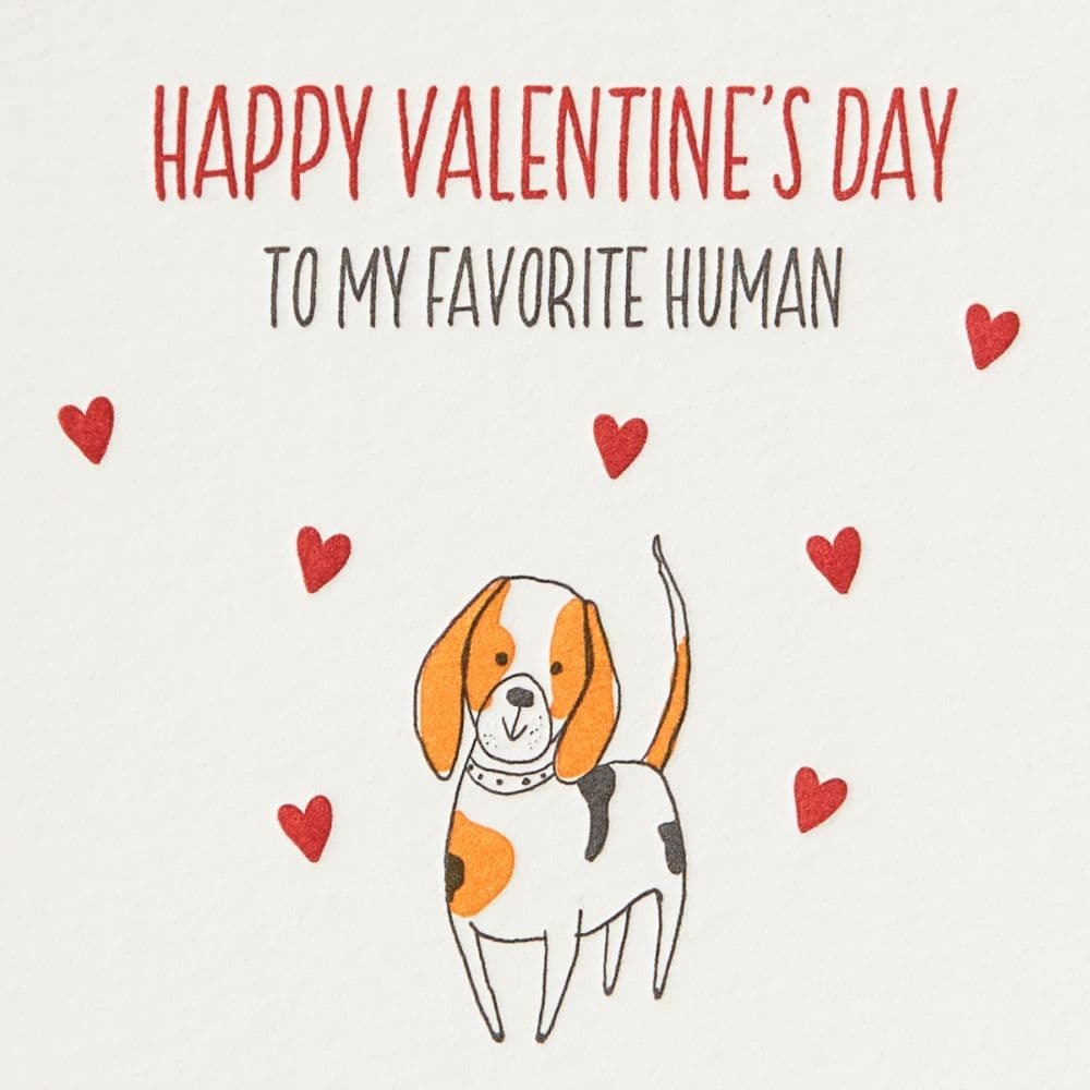 From Your Favorite Pooch Valentine's Day Card