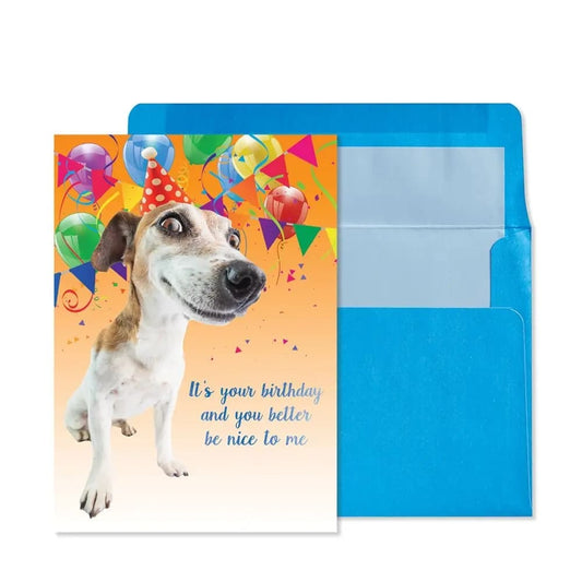 Photo Dog Know Your Age Birthday Card