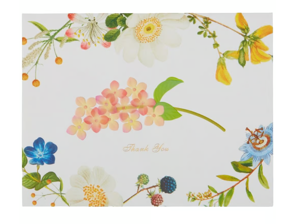 Vellum Hydrangea with Botanical Border Thank You Card