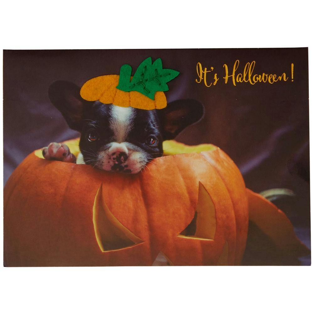 Photo Puppy In Pumpkin Halloween Card First Alternate Image width=&quot;1000&quot; height=&quot;1000&quot;