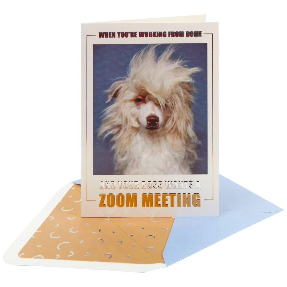 Zoom Meeting Dog Friendship Card Sixth Alternate Image width=&quot;1000&quot; height=&quot;1000&quot;