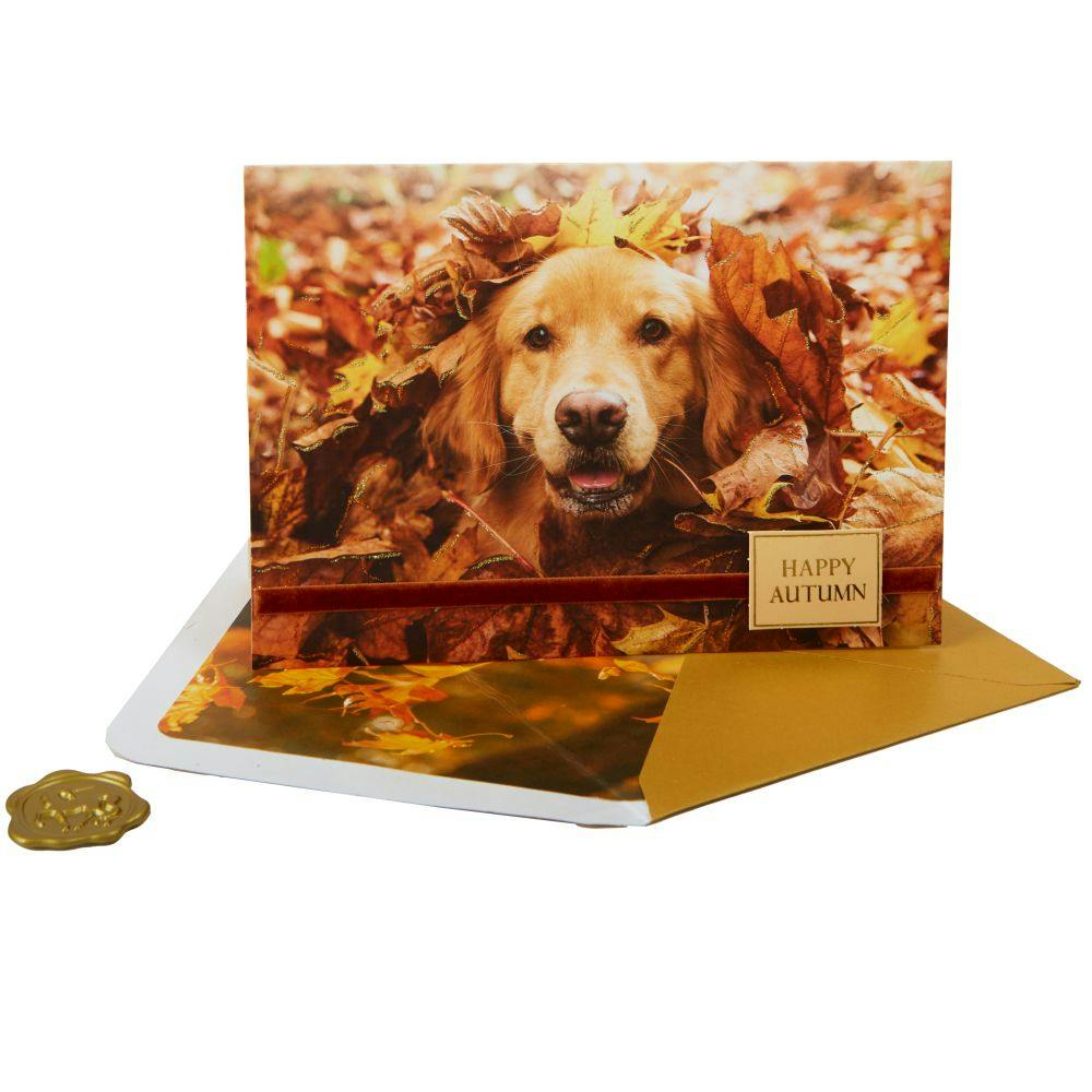 Photo Dog In Leaves Fall Card Sixth Alternate Image width=&quot;1000&quot; height=&quot;1000&quot;