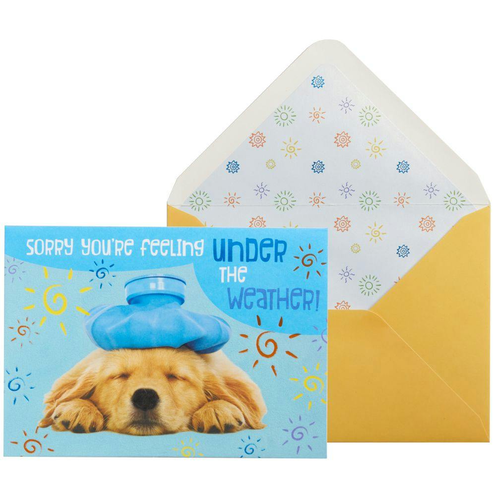 Photo Dog with Compress Get Well Card Main Product Image width=&quot;1000&quot; height=&quot;1000&quot;