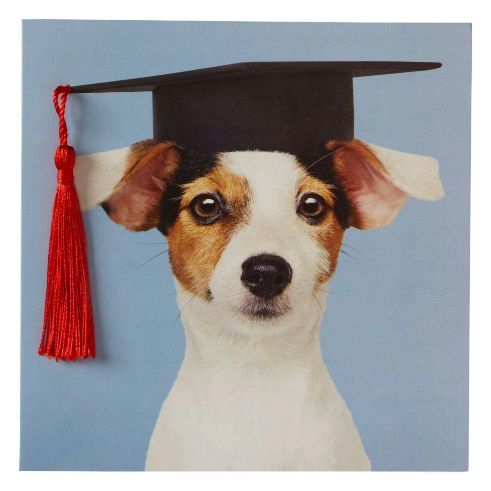 Pup in Grad Hat Graduation Card First Alternate Image width=&quot;1000&quot; height=&quot;1000&quot;