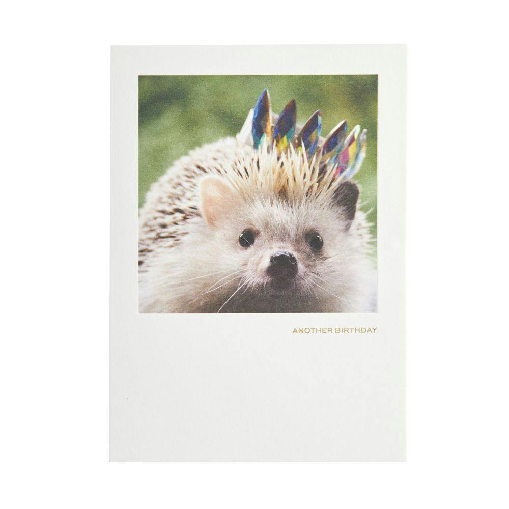 Hedgehog With Crown Birthday Card 2nd Product Detail  Image width=&quot;1000&quot; height=&quot;1000&quot;