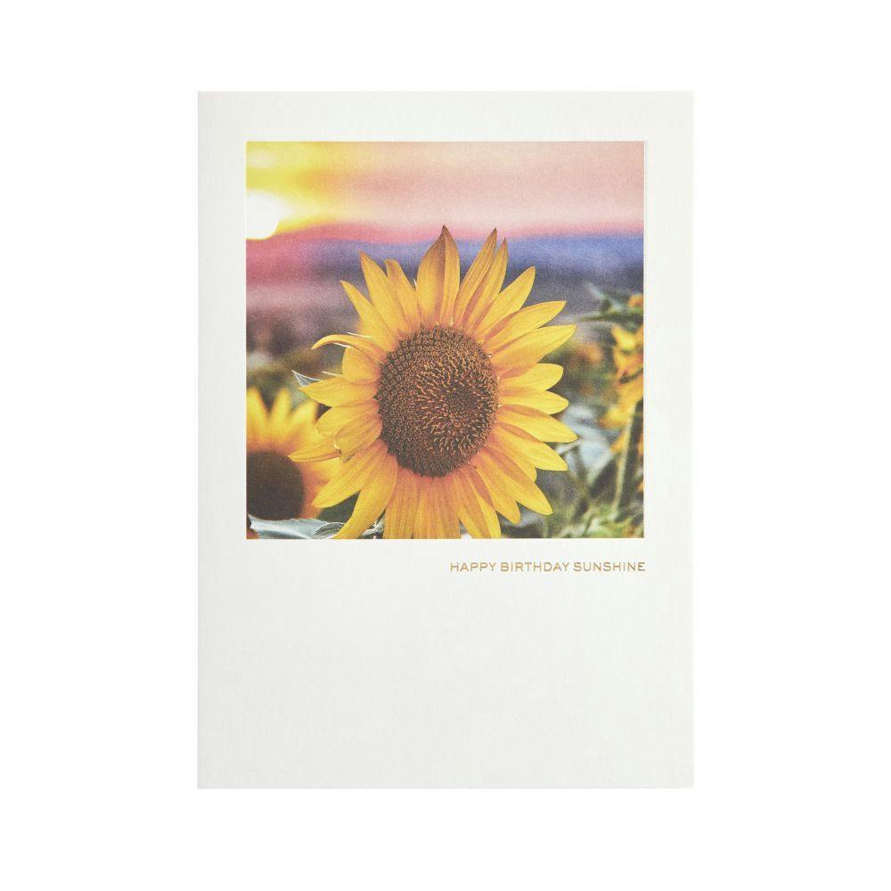 Sunflower Photo Birthday Card 2nd Product Detail  Image width=&quot;1000&quot; height=&quot;1000&quot;