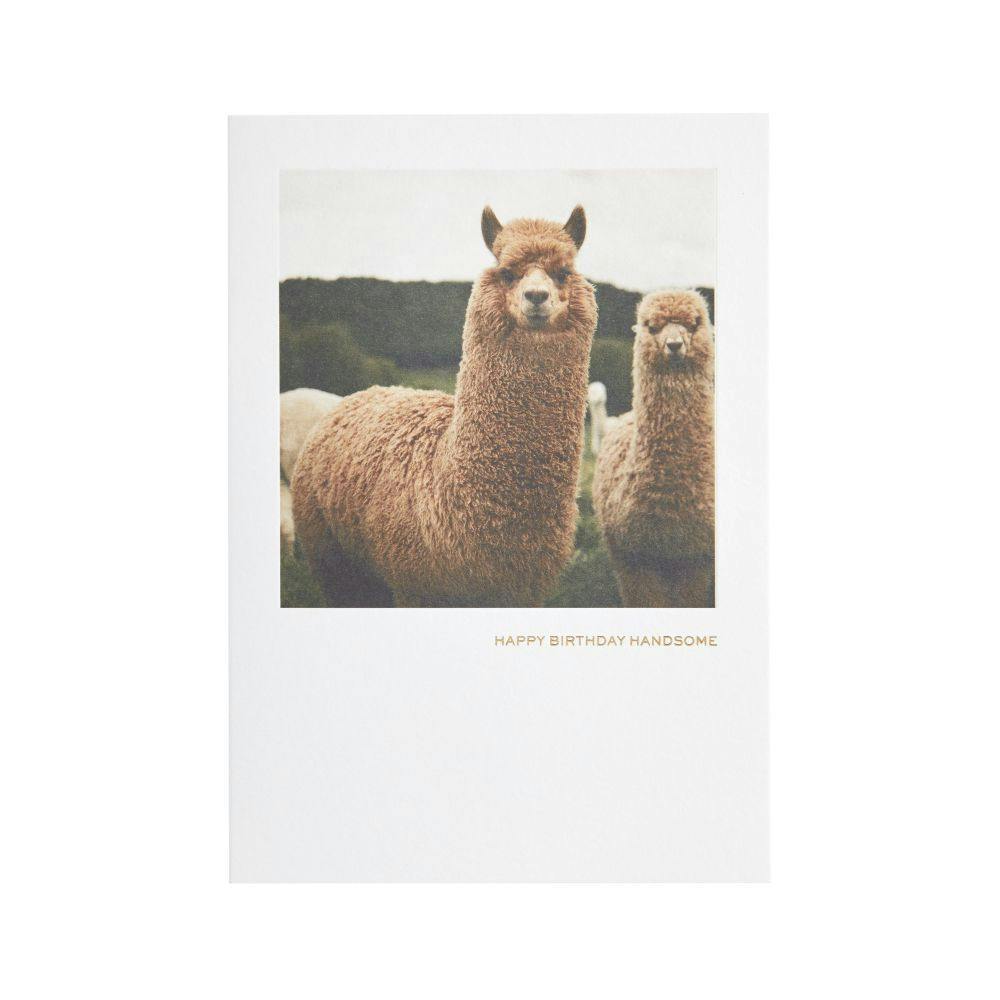 Llama Greeting Card 2nd Product Detail  Image width=&quot;1000&quot; height=&quot;1000&quot;