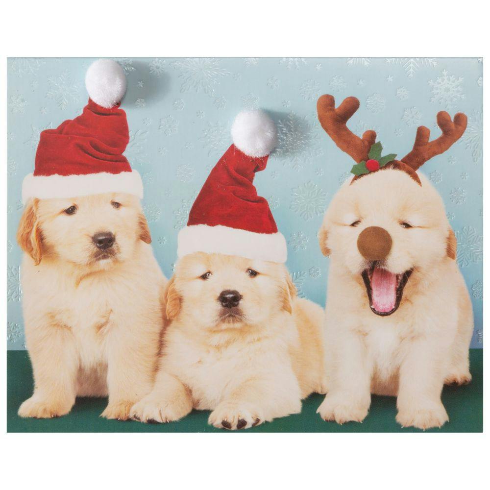 Photo Puppies 10 Count Boxed Christmas Cards First Alternate Image width=&quot;1000&quot; height=&quot;1000&quot;