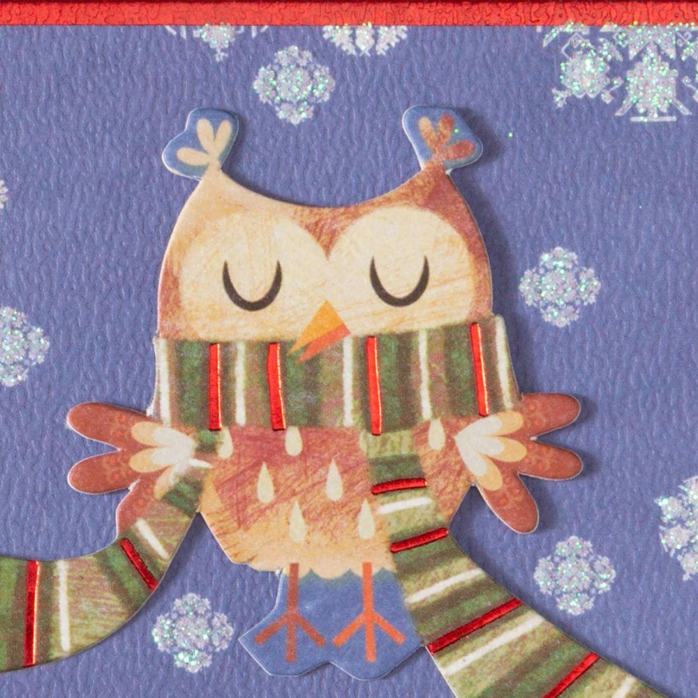 Owl in Scarf 10 Count Boxed Christmas Cards Fourth Alternate Image width=&quot;1000&quot; height=&quot;1000&quot;