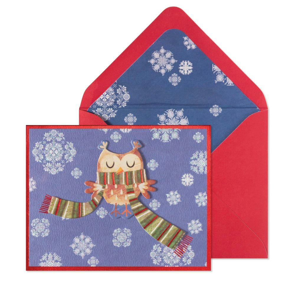 Owl in Scarf 10 Count Boxed Christmas Cards Main Product Image width=&quot;1000&quot; height=&quot;1000&quot;