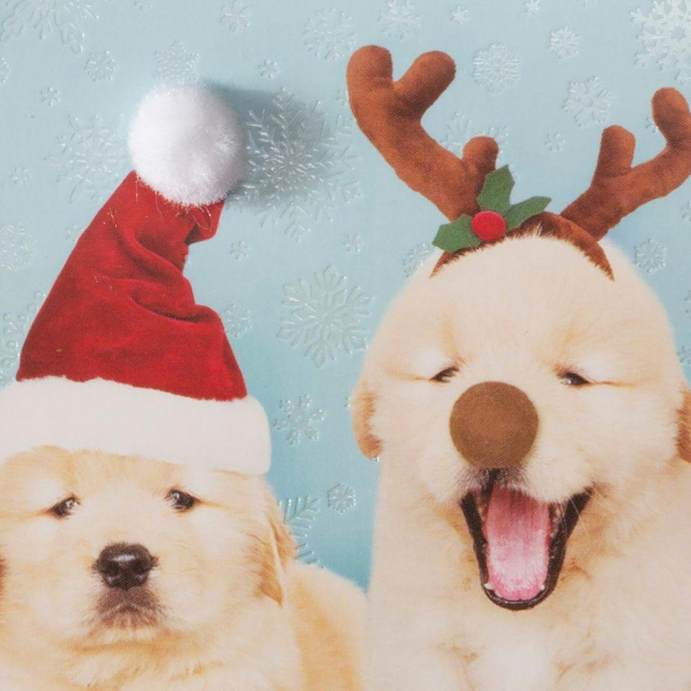 Photo Puppies 10 Count Boxed Christmas Cards Fourth Alternate Image width=&quot;1000&quot; height=&quot;1000&quot;